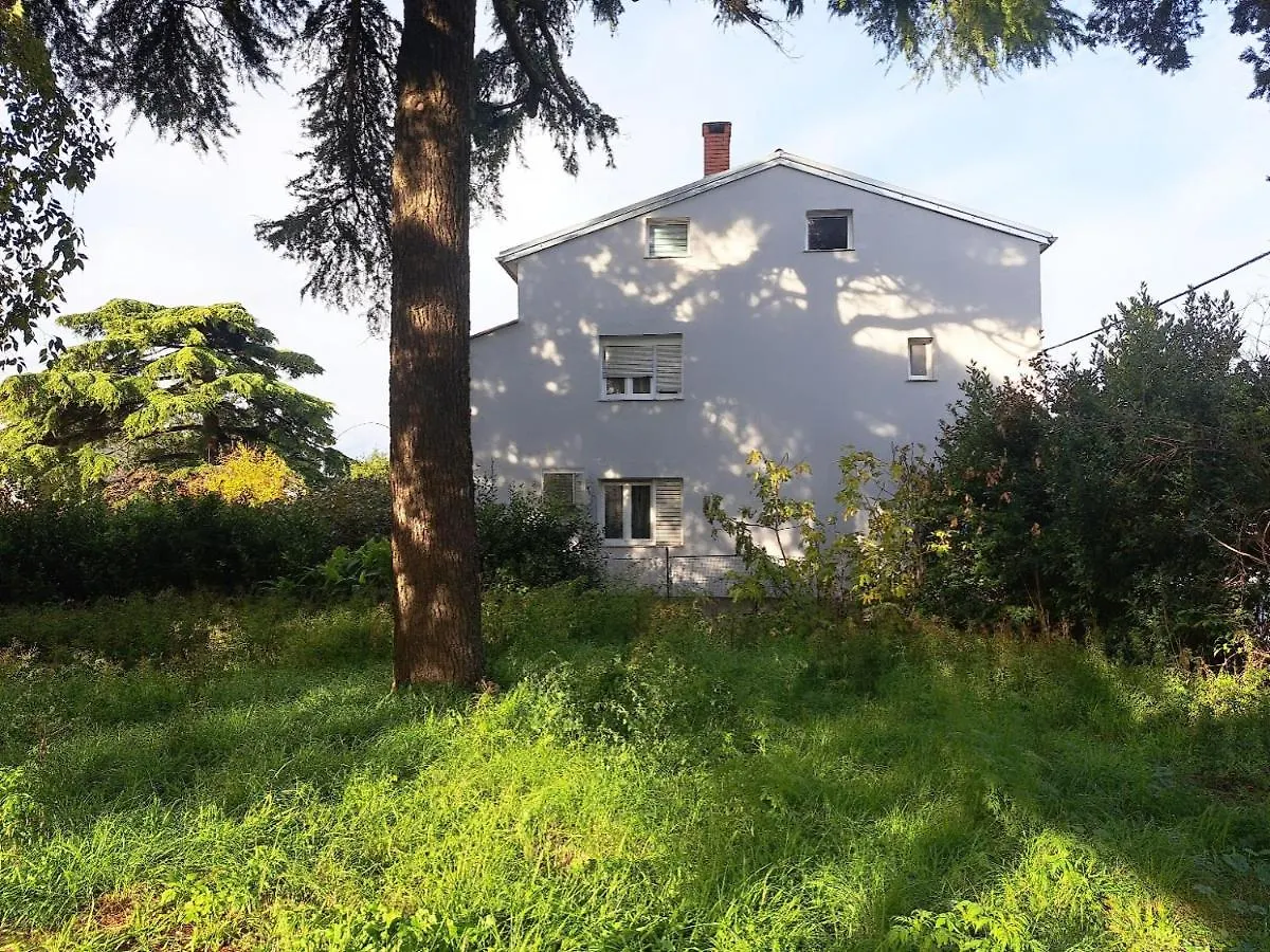Apartment Luana Pula