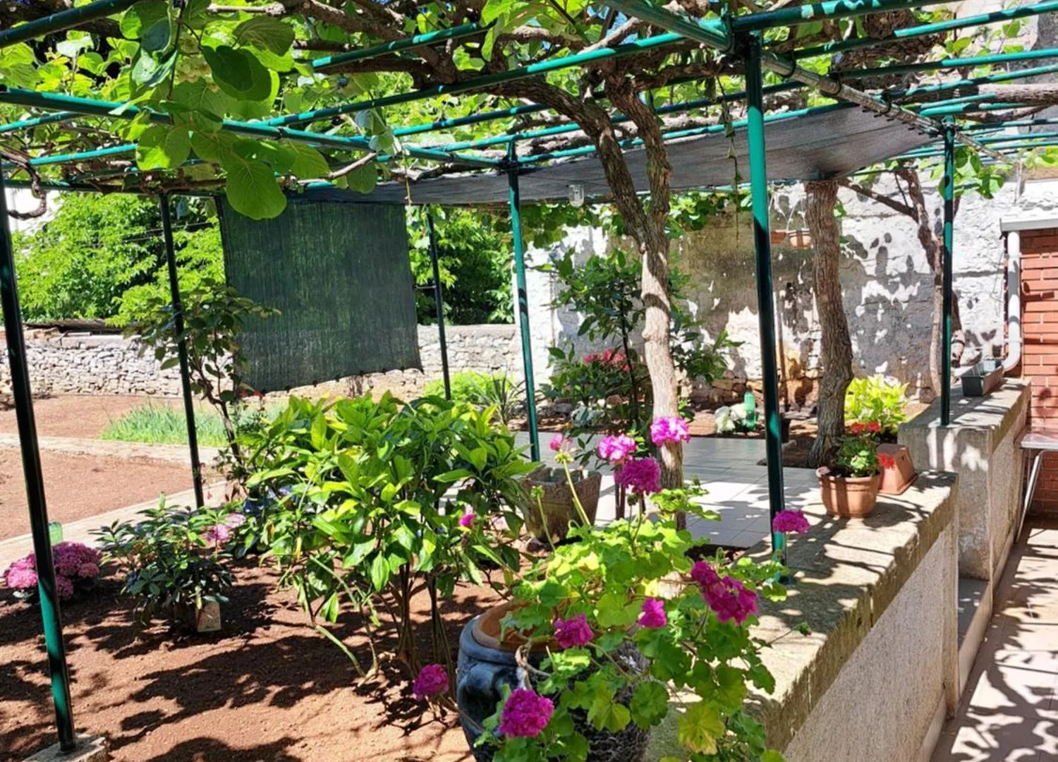 Apartment Luana Pula Croatia